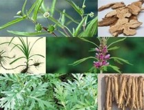 Điều trị viêm âm đạo bằng các phương pháp dân gian